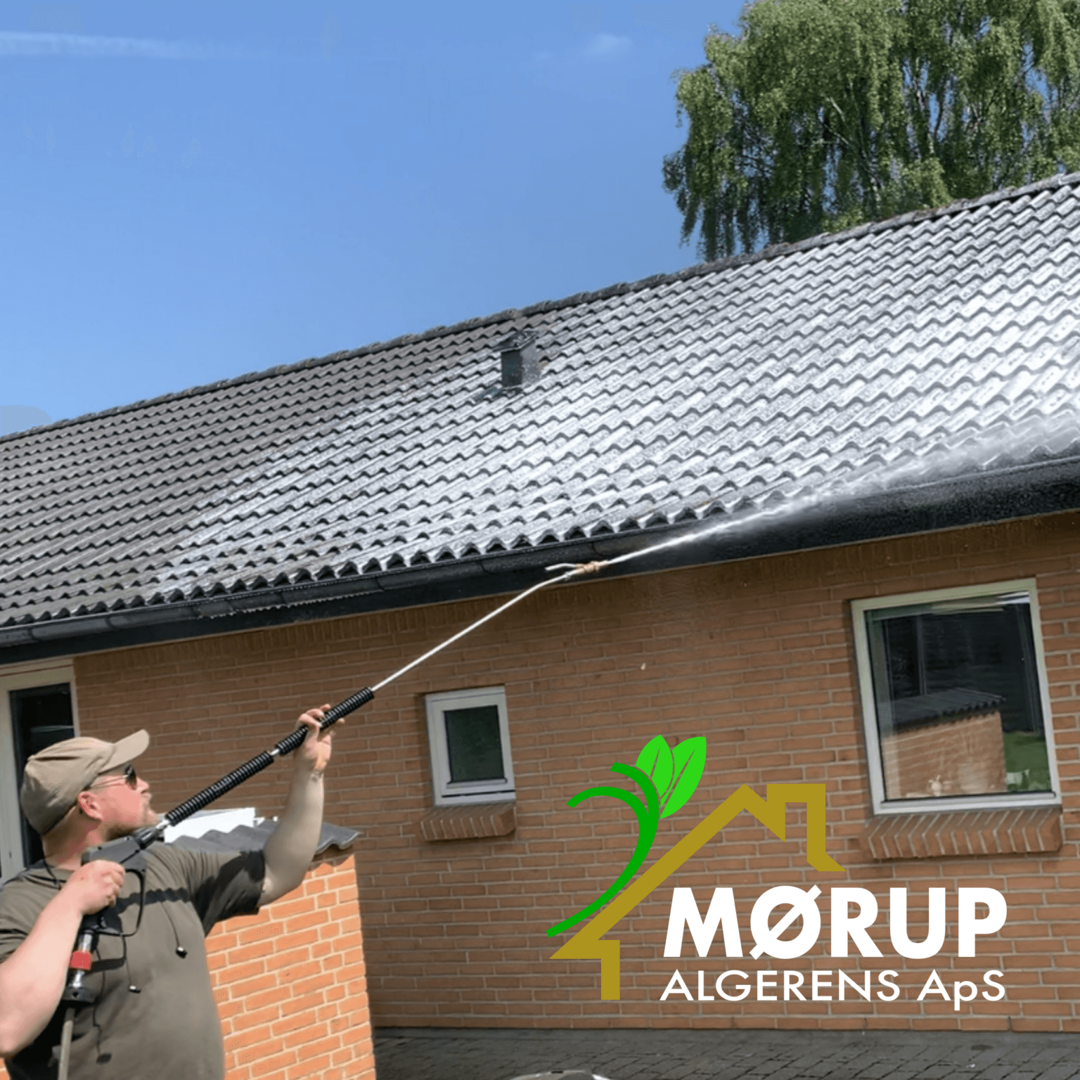 Mørup Algerens — algebehandling af tag